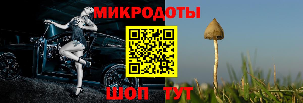 Псилоцибиновые грибы GOLDEN TEACHER Бугуруслан